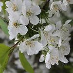 Huebsche In Kroepelin Mit Eigener Terrasse