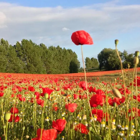 Apartman Huebsche In Kroepelin Mit Eigener Terrasse *