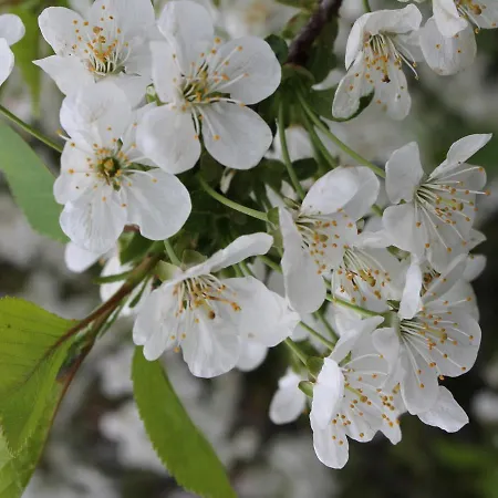 Huebsche In Kroepelin Mit Eigener Terrasse
