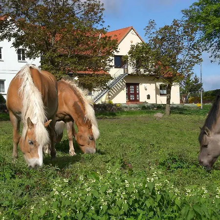 Apartman Huebsche In Kroepelin Mit Eigener Terrasse *