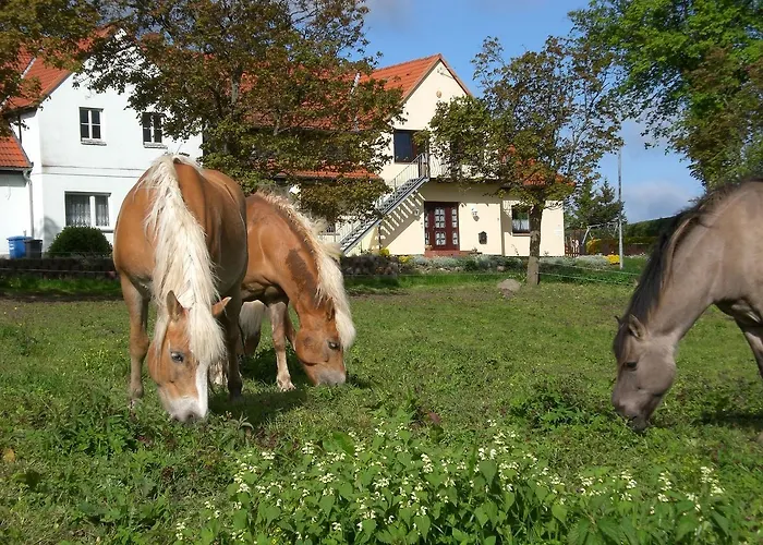 Appartamento Huebsche In Kroepelin Mit Eigener Terrasse *